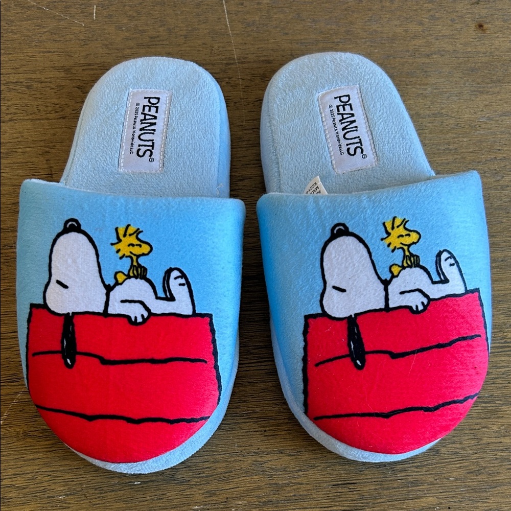 Peanuts Snoopy & Woodstock Plush Slide Slippers - Blue & Red. Kidcore-Retro Insp